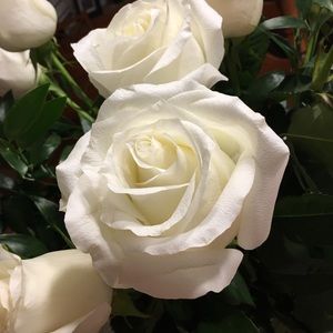 Meet your Posher, Lauri